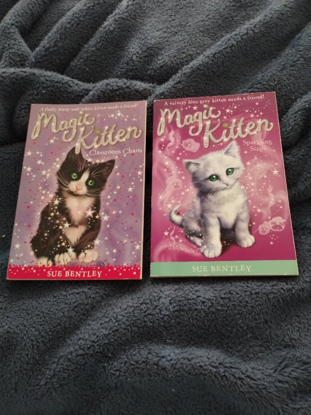 Magic Kitten chapter books,lot of 2